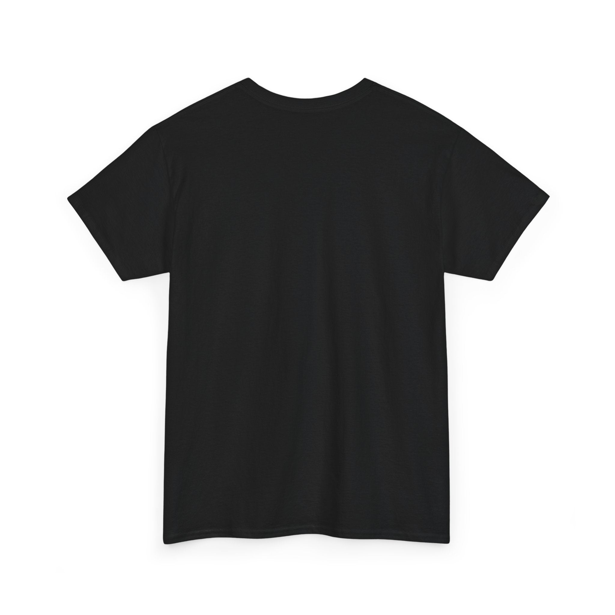 MILEI 2027 Campaign T-Shirt